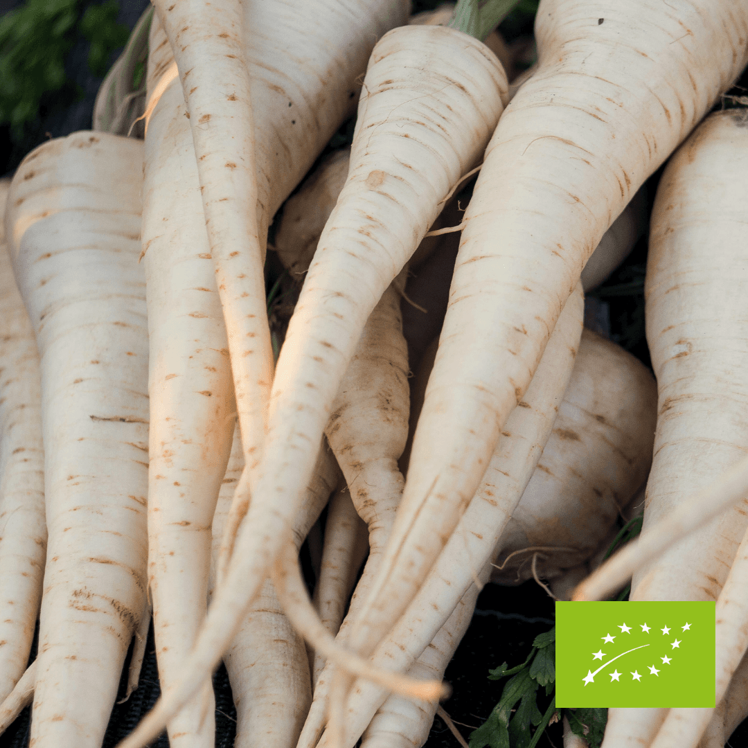 Pietruszka korzeń EKO 1 kg